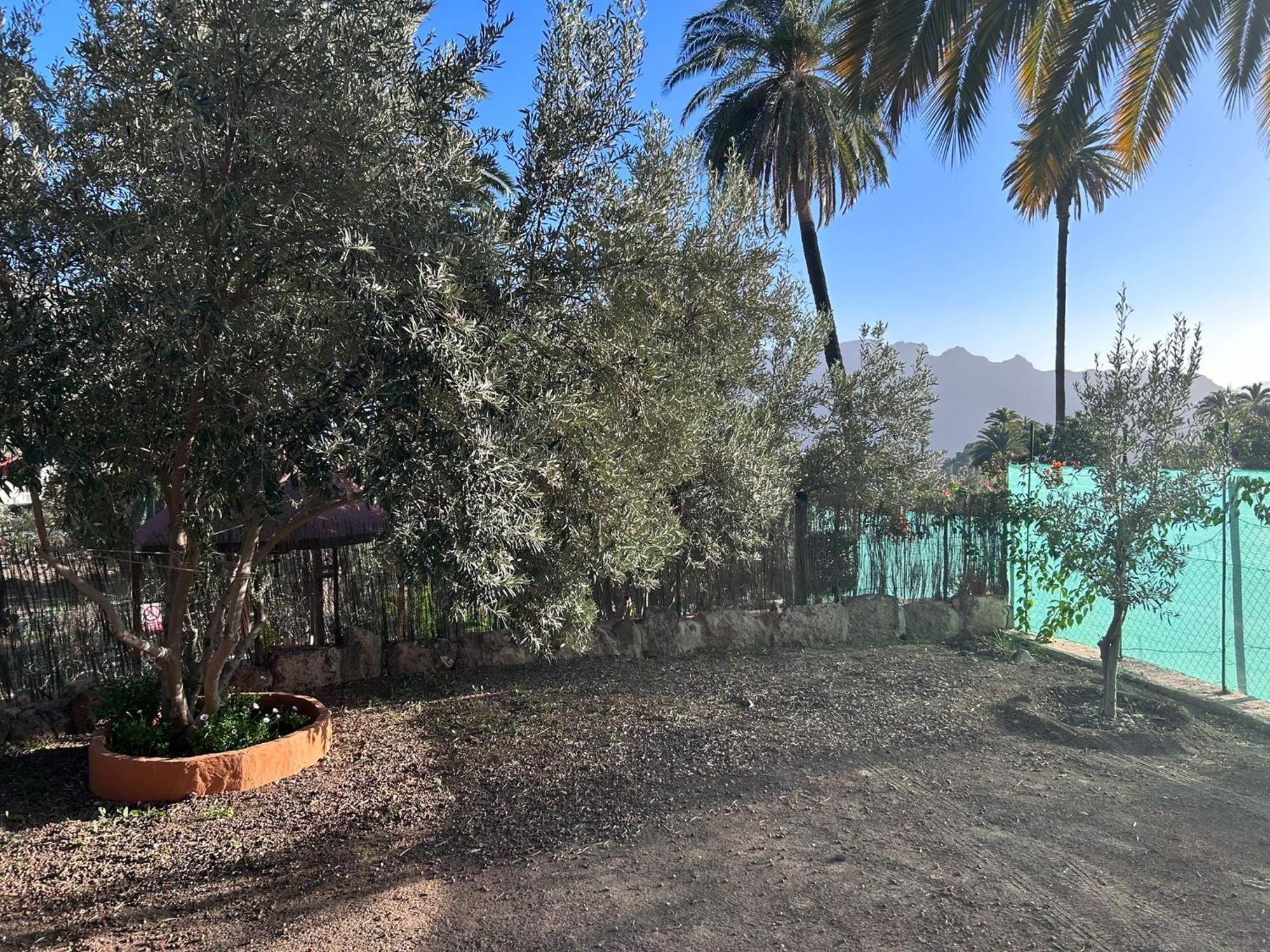 La Casa De Tea Villa Santa Lucia De Tirajana Exterior photo